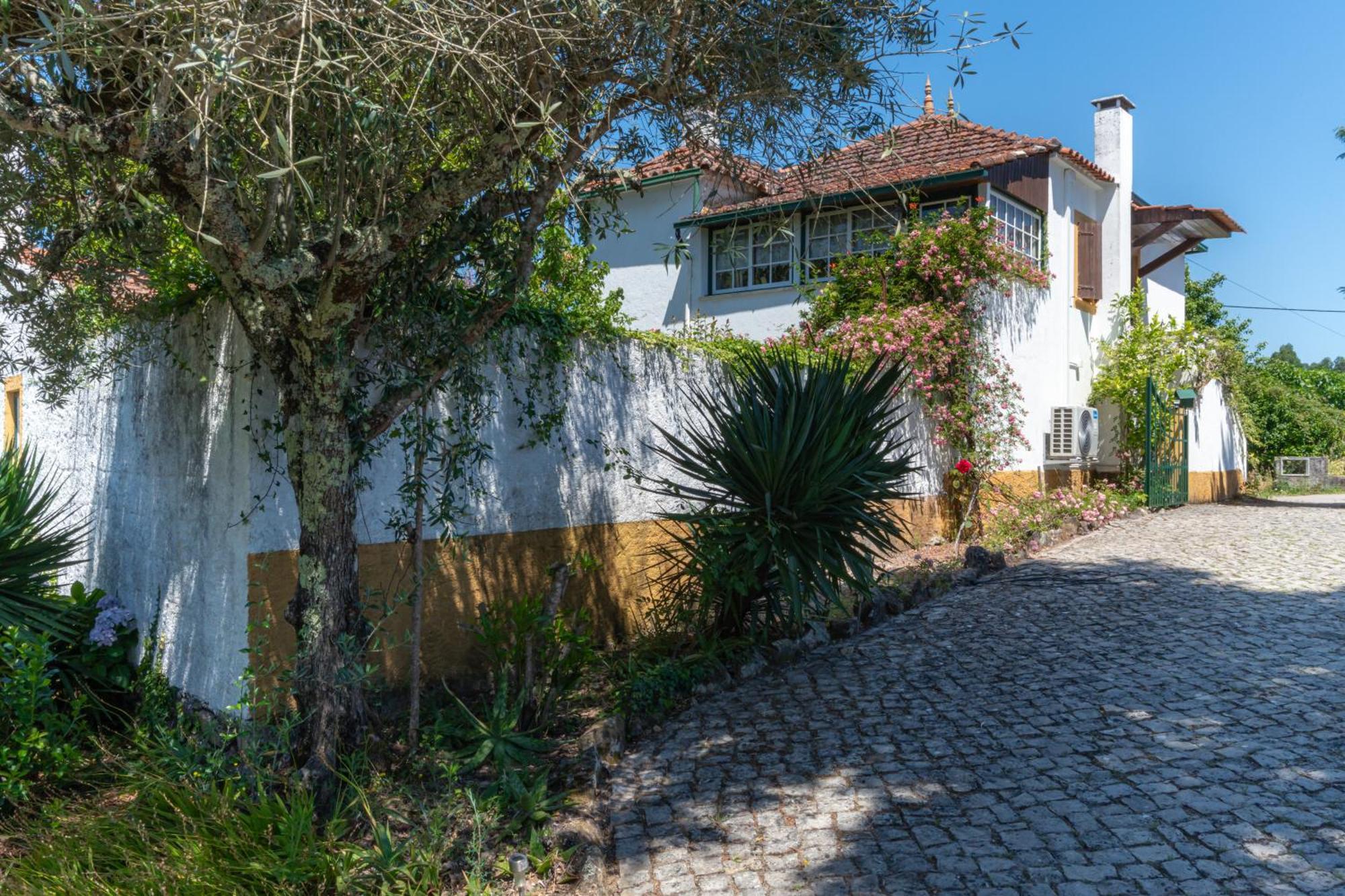 Atlantic Nest Poiares Villa Vila Nova de Poiares Buitenkant foto
