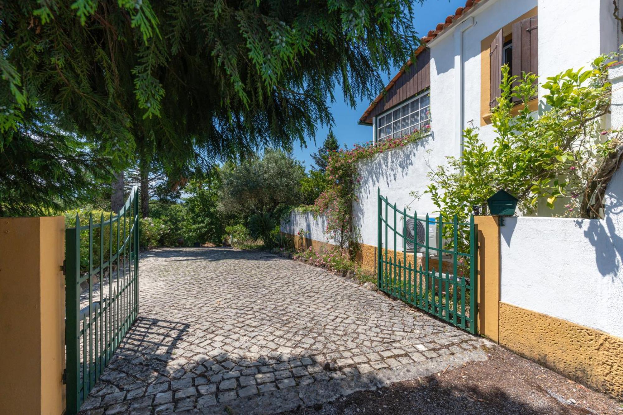 Atlantic Nest Poiares Villa Vila Nova de Poiares Buitenkant foto