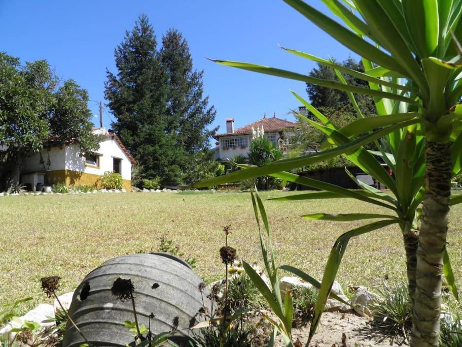 Atlantic Nest Poiares Villa Vila Nova de Poiares Buitenkant foto